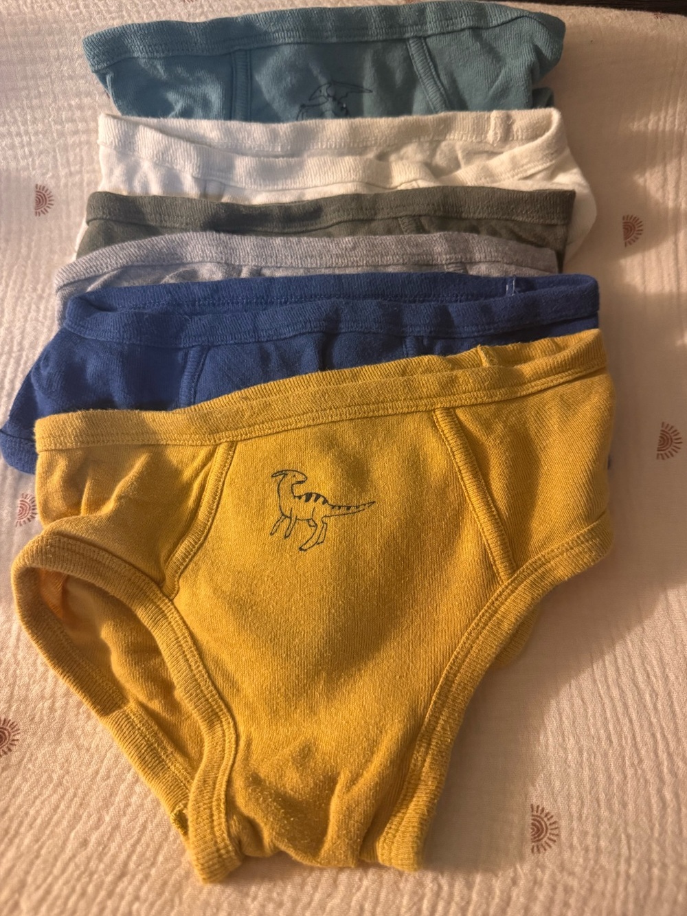 Kids Boys 4-5 Organic Cotton Dino Briefs